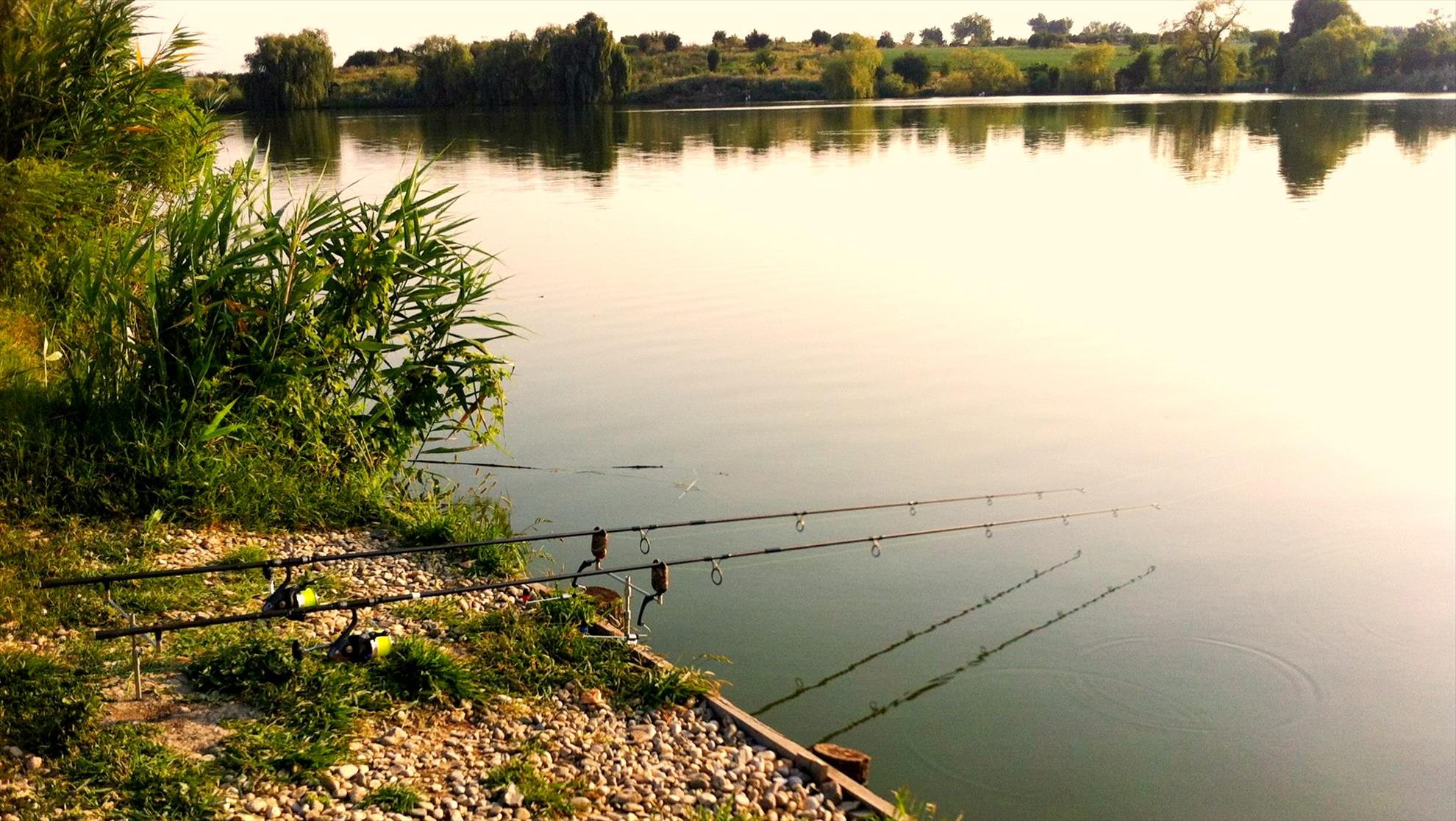 Hermes Peris 30 - 31 iulie 2015 - 1181629516257188777090575672934922229869240o.jpg